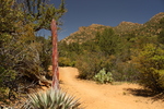 photo thumbnail #1