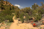 photo thumbnail #3