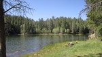 photo thumbnail #13