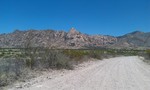 photo thumbnail #2