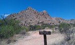 photo thumbnail #5