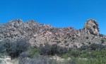 photo thumbnail #6