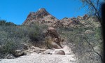 photo thumbnail #10