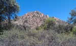 photo thumbnail #11