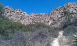 photo thumbnail #14