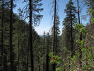 photo thumbnail #10