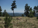 photo thumbnail #12