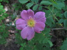 photo thumbnail #13