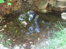 photo thumbnail #15