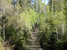 photo thumbnail #7