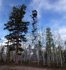 photo thumbnail #9