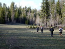 photo thumbnail #15
