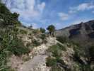 photo thumbnail #3