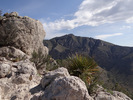photo thumbnail #11