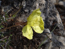 photo thumbnail #15