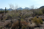 photo thumbnail #1