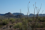 photo thumbnail #3