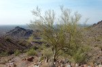 photo thumbnail #6