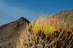 photo thumbnail #7