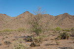 photo thumbnail #10