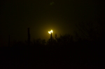 photo thumbnail #15