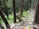 photo thumbnail #5