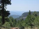 photo thumbnail #6