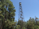recent photo