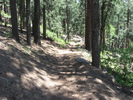 photo thumbnail #10