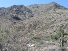 photo thumbnail #5
