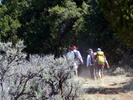 photo thumbnail #5