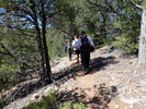 photo thumbnail #12