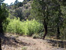 photo thumbnail #13