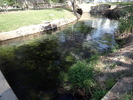 photo thumbnail #12