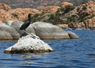 photo thumbnail #14