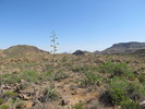 photo thumbnail #6