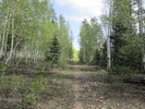 photo thumbnail #1