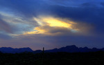 photo thumbnail #2