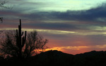 photo thumbnail #7