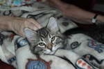 photo thumbnail #1