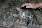 photo thumbnail #4