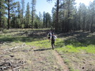 photo thumbnail #1