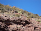 2012-05-22 :2: Aravaipa Canyon :: Bradshaws