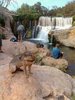 photo thumbnail #9