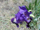 photo thumbnail #2