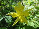 photo thumbnail #6