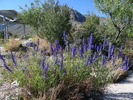 photo thumbnail #7