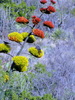 photo thumbnail #11