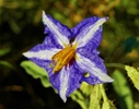photo thumbnail #3