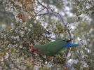 photo thumbnail #8